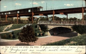 Bay Ridge Brooklyn New York NY Tunnel & Bridge c1910 Postcard - Train Stop?