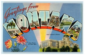 c1930's Greetings From Montana MT State Flower And Capitol Vintage Postcard 