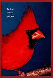 Indiana - Cardinal - State Bird - [IN-0111X]