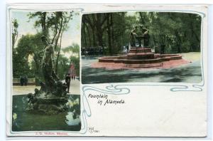 Fountain in Alameda Mexico 1905c postcard 