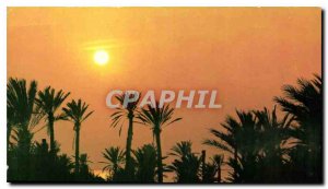 Postcard Modern Kerkennah Islands Tunisia Sunset