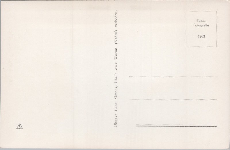 Netherlands Vaals Gezicht op België Vintage RPPC C392