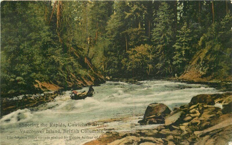 Canada Cowichan River Vancouver British Columbia Rapids Postcard 21-3499