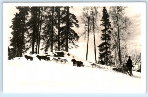 RPPC Dog Sled Team U.S. ARMY RESCUE TEAM Military c1940s Brickley Photo Postcard