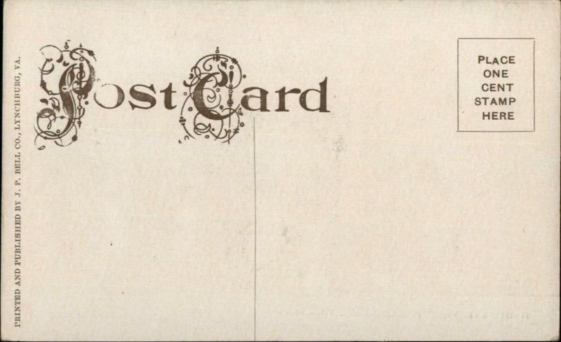 Buena Vista VA Birdseye View c1910 Postcard