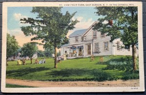 Vintage Postcard 1940 Mt. View Fruit Farm East Durham Catskill Mts. NY