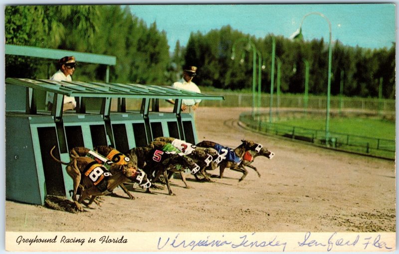 c1960s FL, Florida Greyhound Dog Racing Starting Box Run Gambling Chrome PC A310
