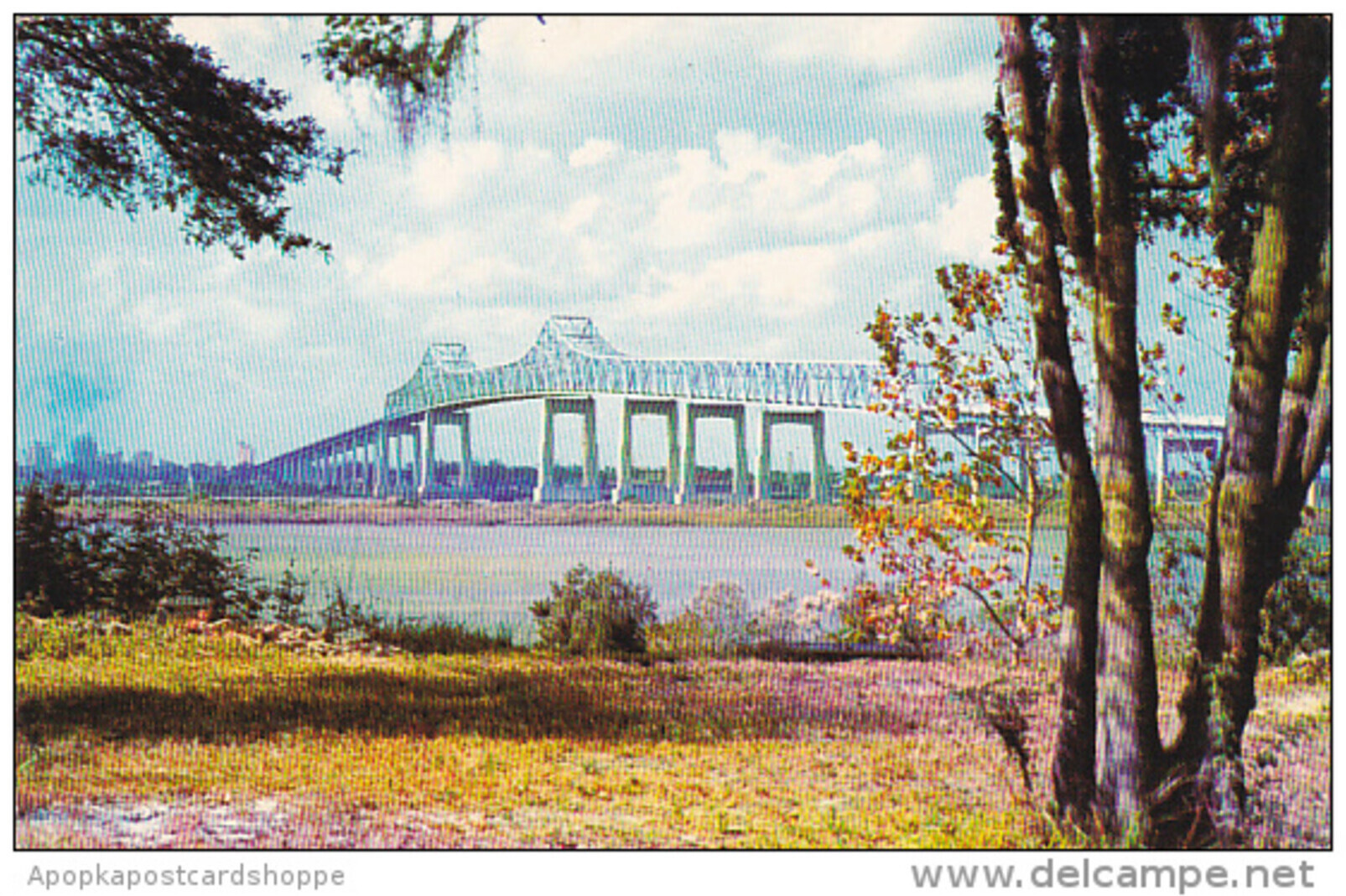 Exploring the Mathews Bridge's Architecture | TikTok, image size:1605x1069