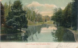 Lake in Forest Park - Springfield MA, Massachusetts - pm 1907 - UDB