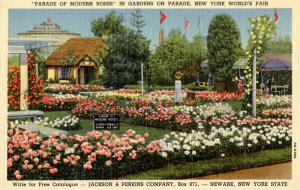 NY - 1939 New York World's Fair. Parade of the Modern Roses/Jackson & Perki...