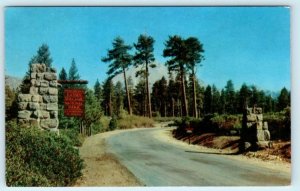 3 Postcards MANZANITA LAKE LODGE, Entrance, Lake in Lassen County, California CA