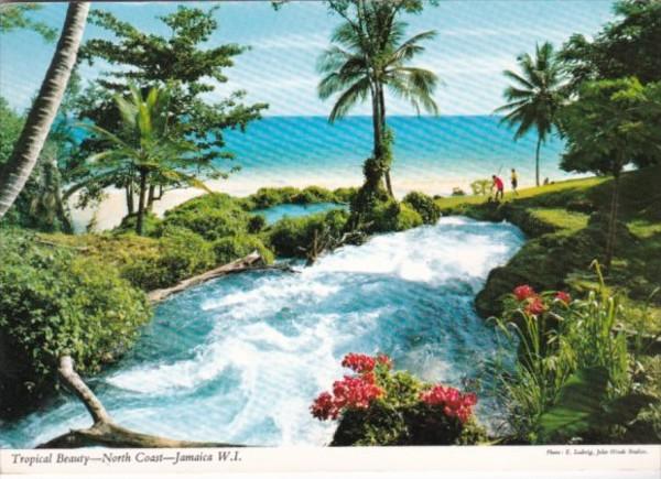 Jamaica North Coast Tropical Beauty