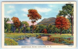 Greetings from OAKLAND, New York NY ~ c1930s Livingston County Linen Postcard