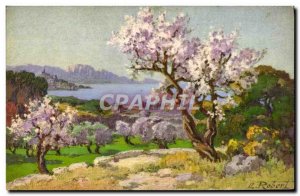 Old Postcard Almond trees in bloom around Marseille