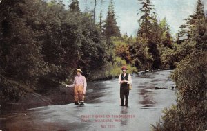Wolverine Michigan Trout Fishing on Sturgeon River Vintage Postcard AA89450