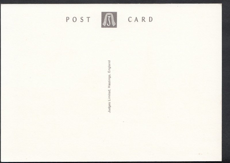 Yorkshire Postcard - Helmsley Street View  F941