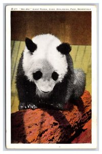 Mei Mei the Giant Panda Brookfield Zoo Illinois IL UNP Linen Postcard Y9