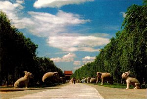 Beijing, China  AVENUE OF STONE ANIMALS~SACRED WAY  The Ming Tombs  4X6 Postcard