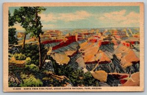 Vintage Arizona Postcard - Grand Canyon National Park   Fred Harvey  1952