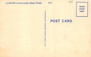 Alligator Parrot Jungle - Miami, Florida FL  