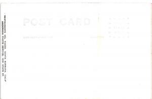 E33/ Huntington Beach California Ca Postcard Real Photo RPPC 1952 Oil Wells