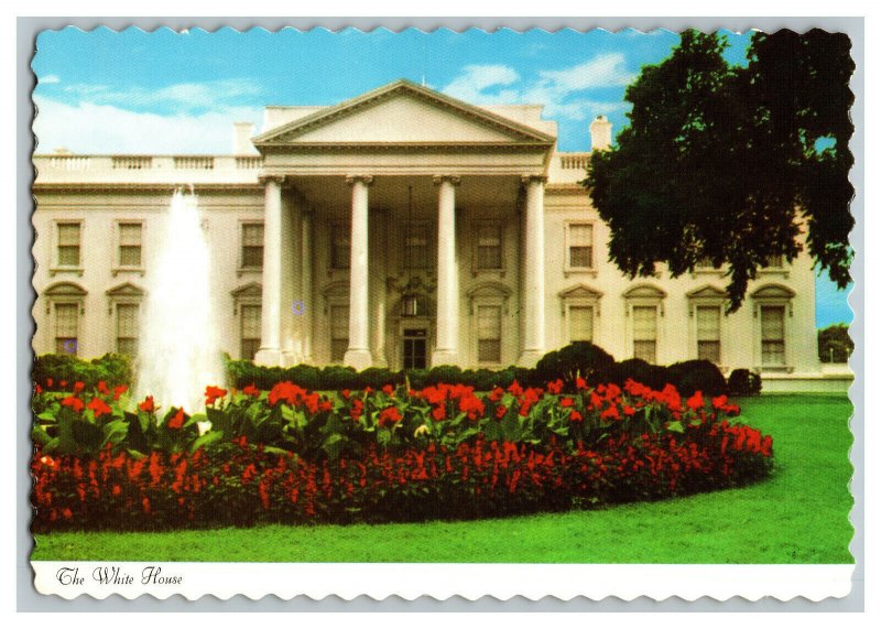 The White House Washington D. C. Vintage Postcard Continental View Card  