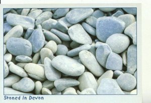 Devon Postcard - Stoned in Devon - 17974A