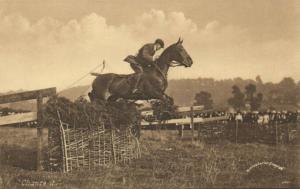 Prize Jumpers, Change It, Horse Jumping (1910s)