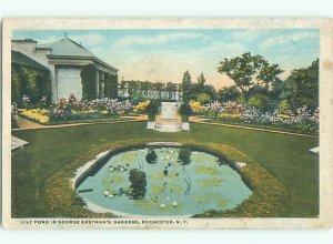 W-border GARDEN SCENE Rochester New York NY AF7006