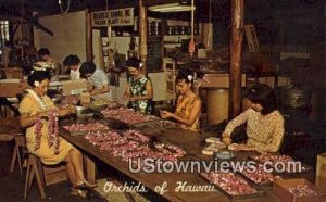 Orchids of Hawaii - Hilo