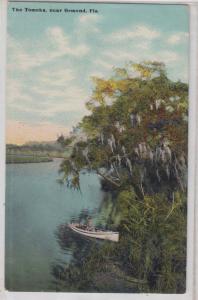 The Tomoka near Ormond FL