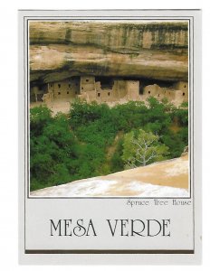 Spruce Tree House Ruins Mesa Verde National Park Colorado 4 by 6