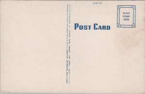 Portion Of Commercial Fishing Fleet San Diego California Linen Postcard C036