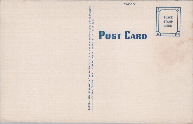 Portion Of Commercial Fishing Fleet San Diego California Linen Postcard C036