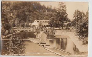 c30-40s BONNEVILLE Oregon OR Postcard FISH HATCHERY RPPC Columbia River Highway