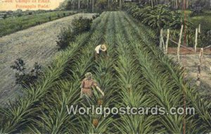 Campo de Pinas, Pineapple Field Republic of Cuba Unused 