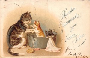 Anthropomorphic Cat Mother Baths Kittens New Year Greetings 1898 postcard B904