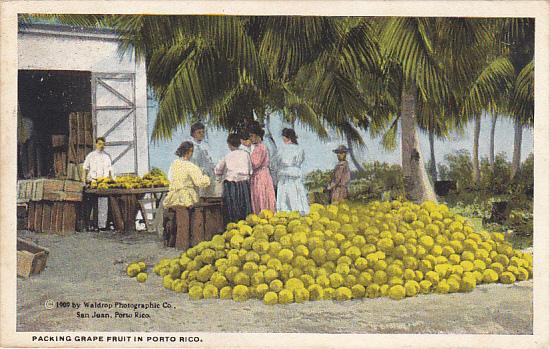 Puerto Rico Natives Packing Grape Fruit 1922 Curteich