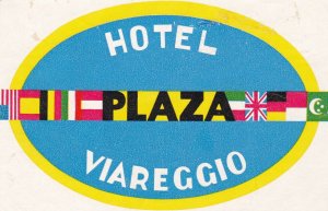 Italy Viareggio Hotel Plaza Vintage Luggage Label lbl0690 