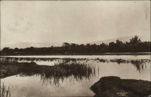 Haiti Panoramic Water View Real Photo RPPC Vintage Postcard