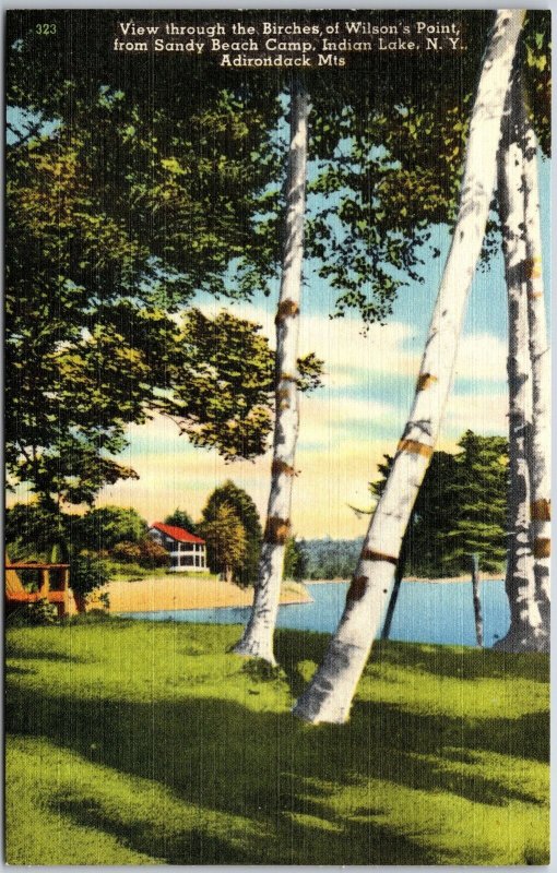 The Birches Of Wilson's Point View From Sandy Beach Camp Indian Lake NY
