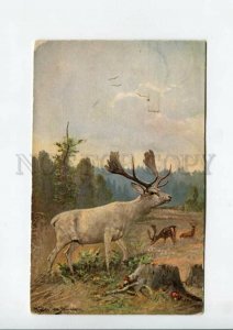 3159636 HUNT Deer MUSHROOM by MULLER vintage colorful PC