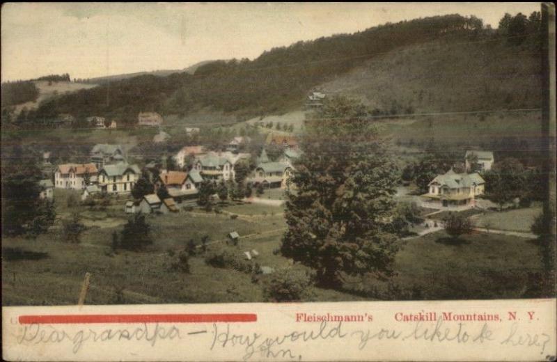 Fleischmann's NY Catskills General View c1905 Postcard