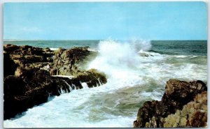 M-54260 Exploding Surf as Seen from The Marginal Way Ogunquit Maine