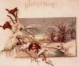 1870s-80s Victorian Christmas Card Mica Snow Birds Poem On Back F187