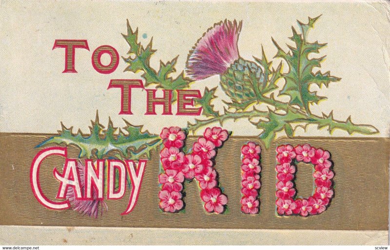 To the Candy KID, Pink flowers & Thistle Weed, 1900-10s