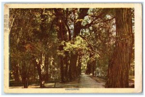 1949 Chapultepec Forest Poets Causeway Mexico City Mexico Vintage Postcard