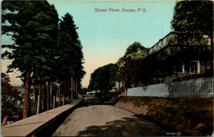 Postcard QC Gaspe Street View Dirt Road Valentine & Sons ~1910 K42