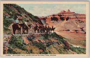 Vintage Kaibab Trail Grand Canyon National Park Arizona Lithograph Postcard H81
