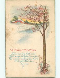 Pre-Linen new year BEAUTIFUL VIEW OF MOSTLY BARREN TREE IN WINTER k5176